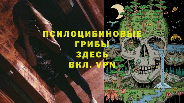 2c-b Алексин