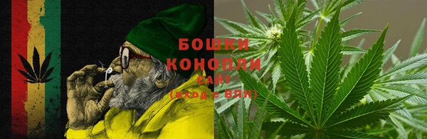 стаф Абаза